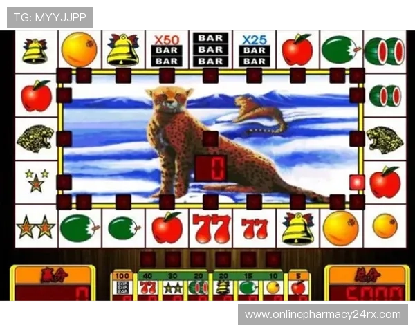 老虎机国际入口24小时在线客服,提供贴心专业的游戏支持服务 老虎机国际入口24小时在线客服,提供贴心专业的游戏支持服务